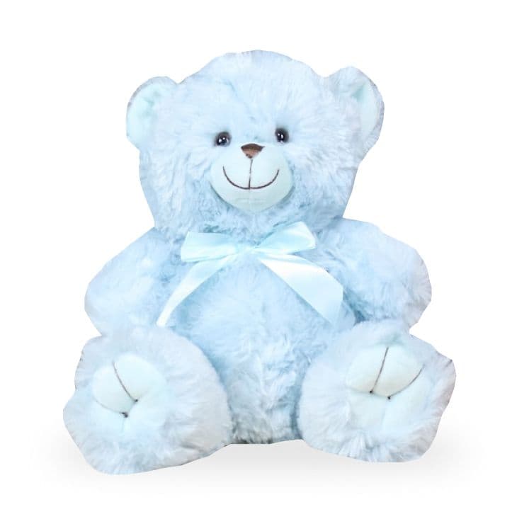 Teddy Bear Blue Gift