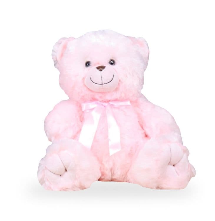 Teddy Bear Pink Gift