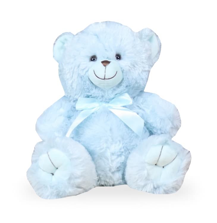 Thumbnail of Teddy Bear Blue Gift