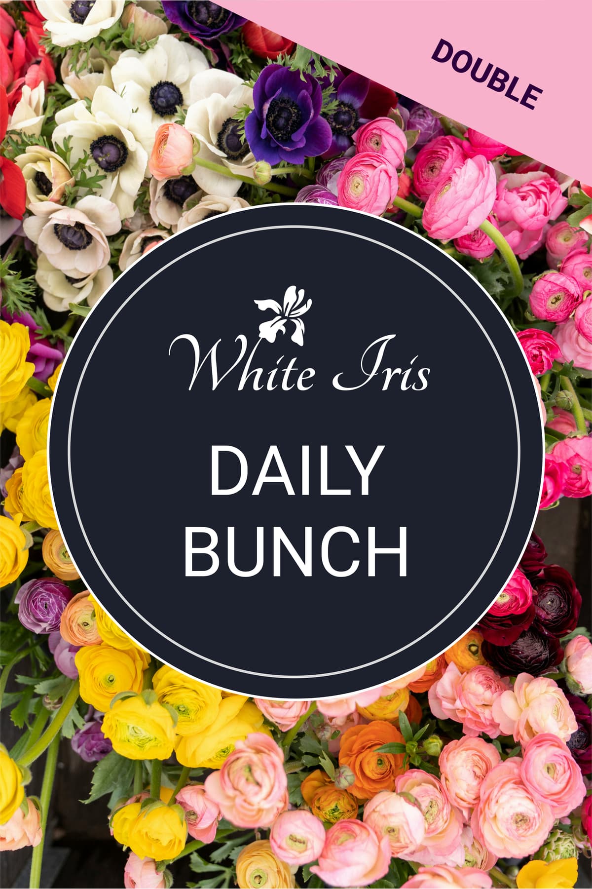 Image of Daily Bunch - Double Size