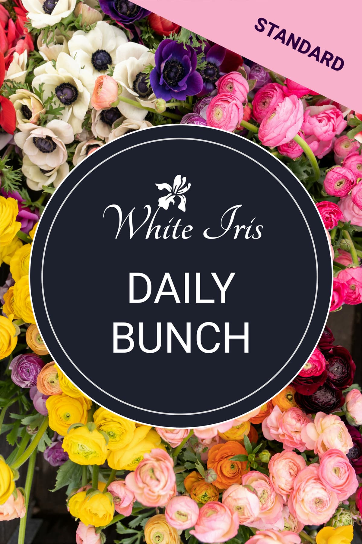 Image of Daily Bunch