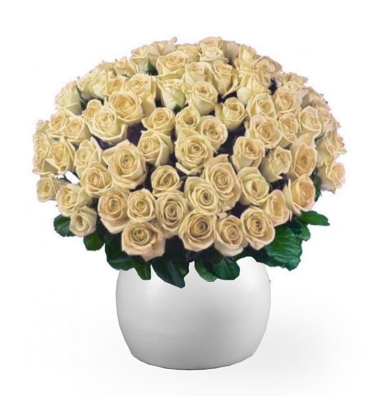 Thumbnail of 100 Long White Roses