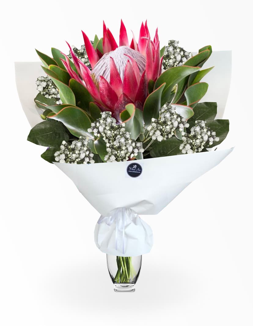 Thumbnail of King Protea