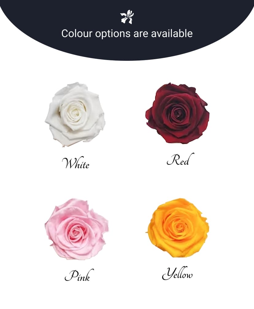 Thumbnail of Luxe Roses