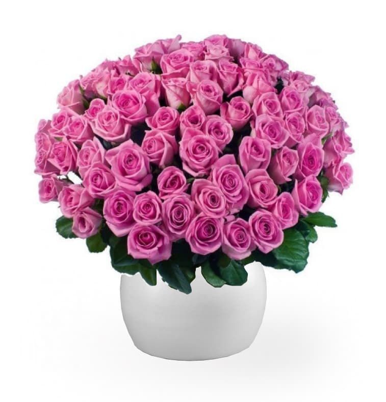 Image of 100 Long Pink Roses