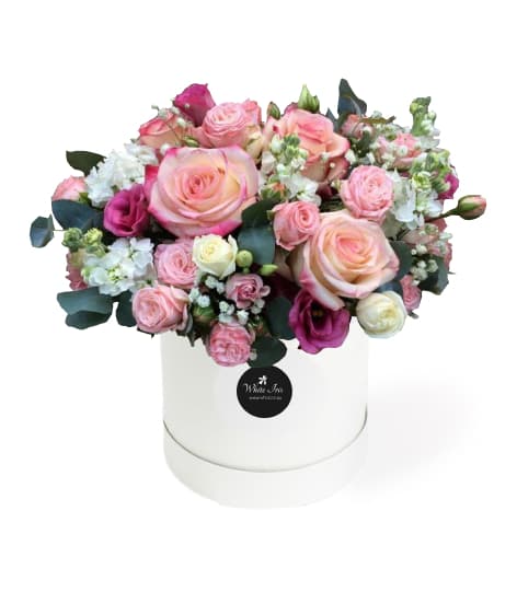 Thumbnail of Pastel Colours Hat Box On Your Choice