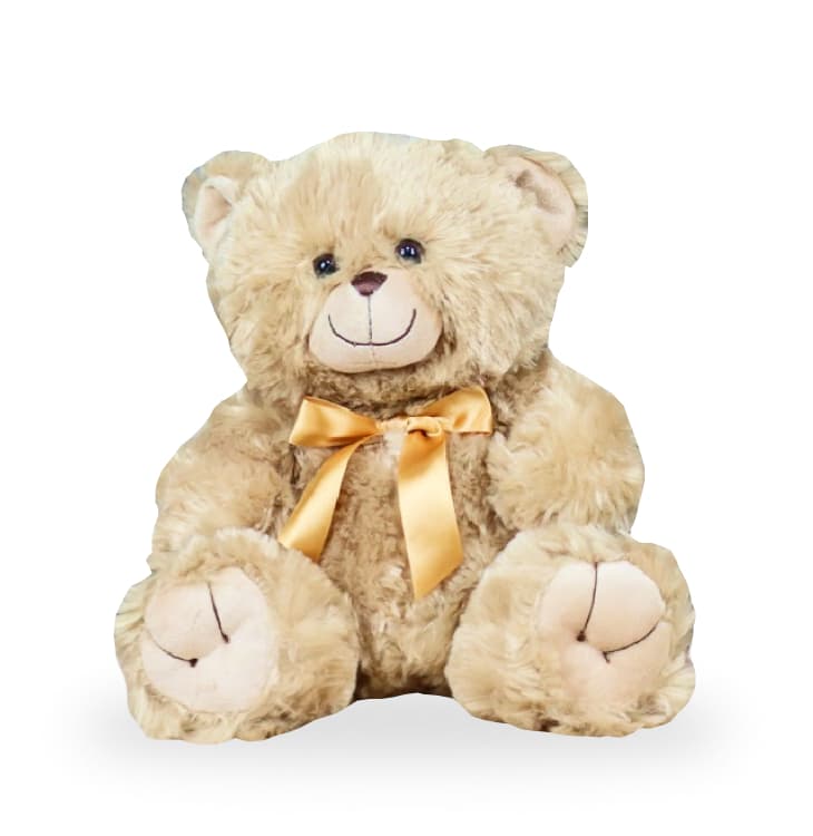 Image of Teddy Bear Gift