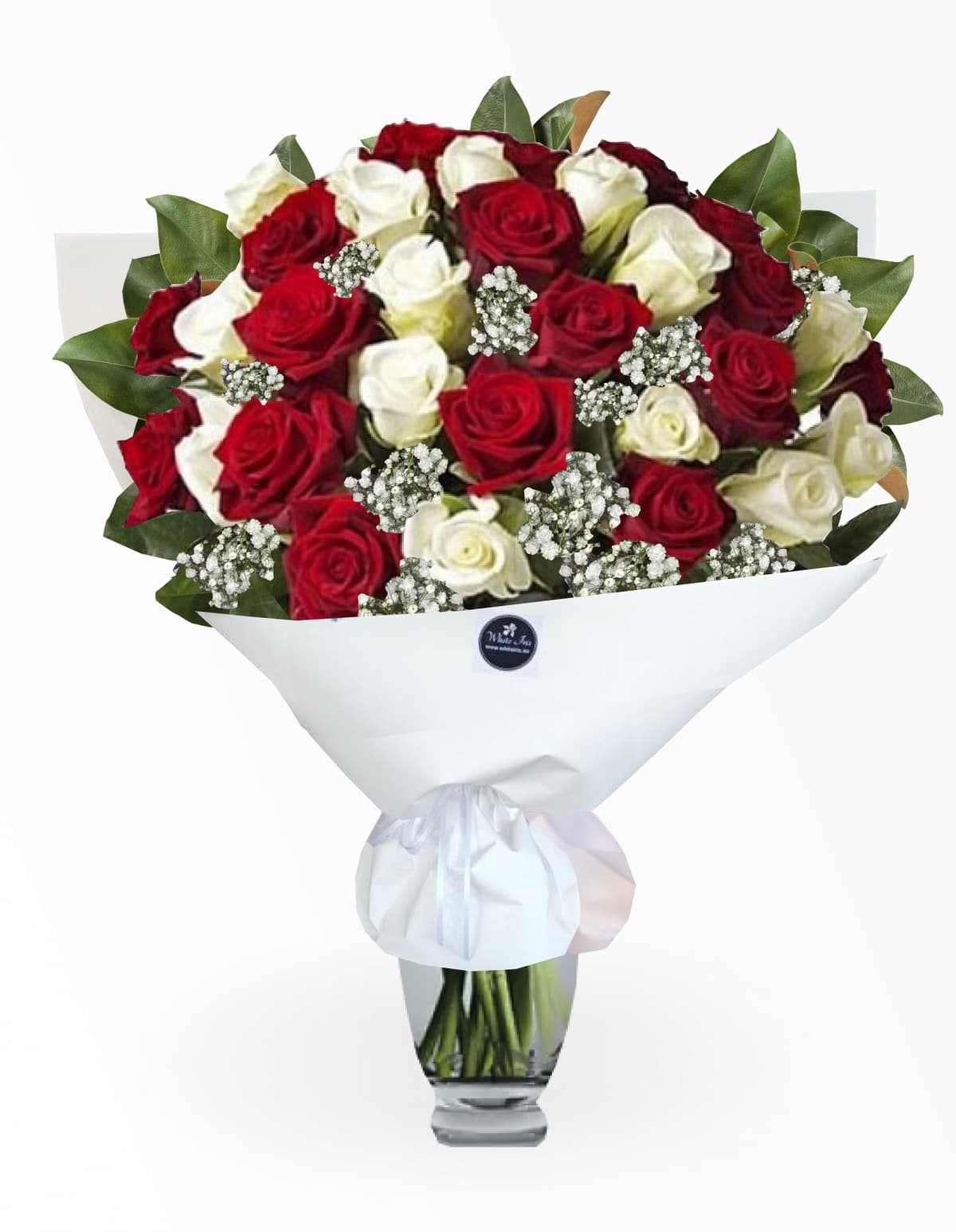 Image of Red & White