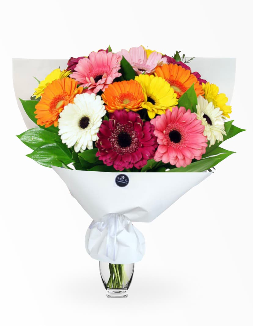 Thumbnail of Gerbera mix