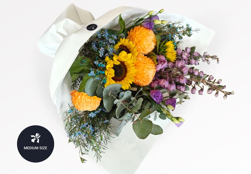 Thumbnail of Sunshine & Ocean