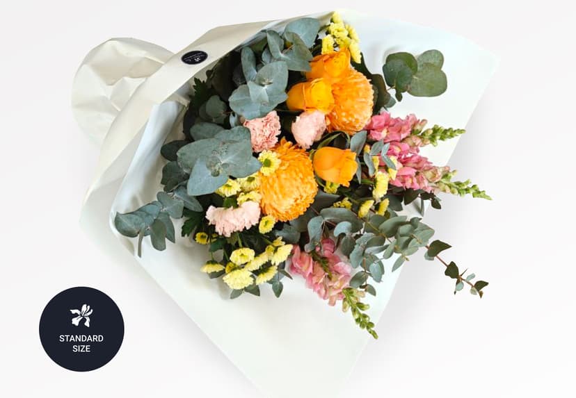 Thumbnail of Fiji Sunset