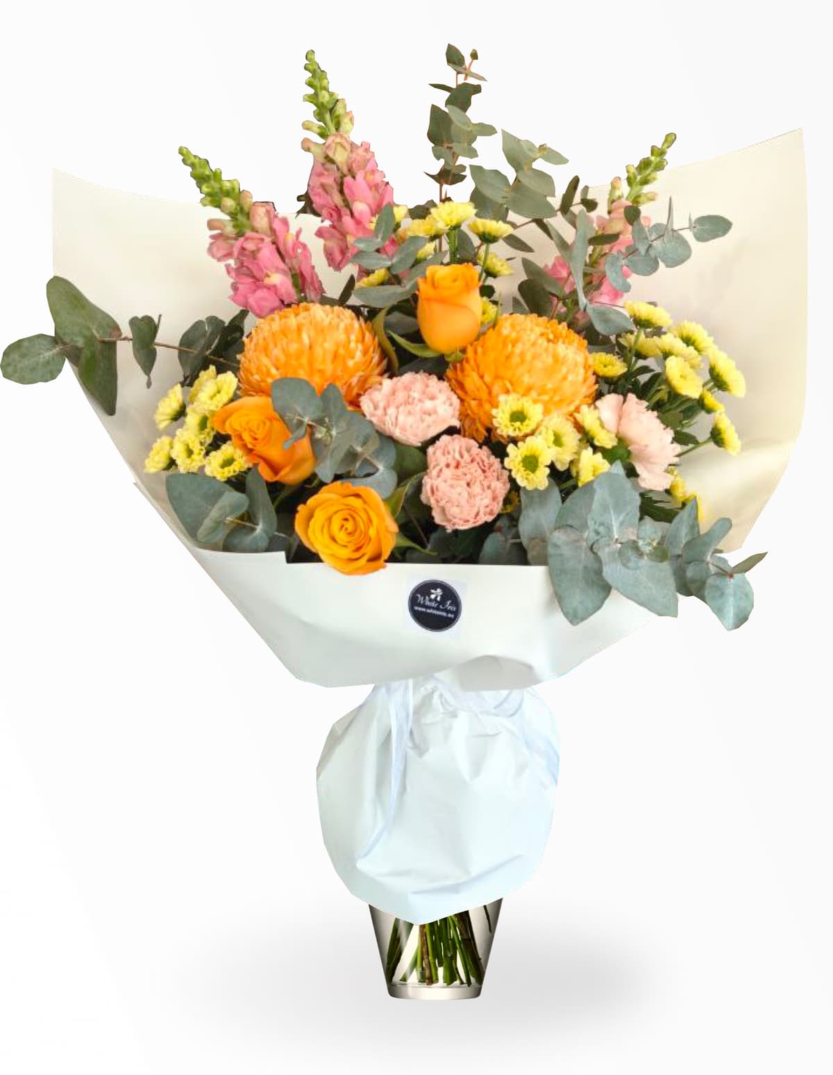 Image of Fiji Sunset