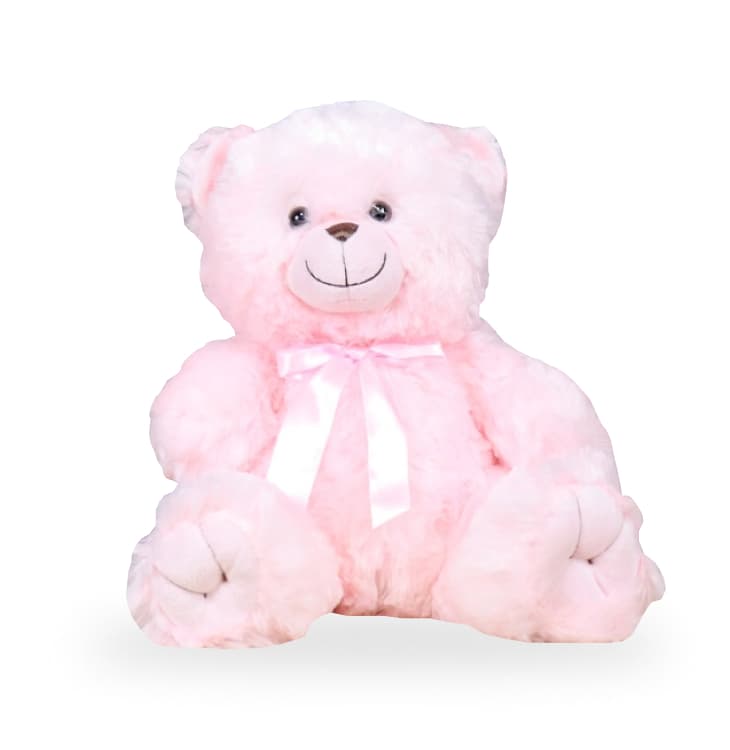 Thumbnail of Teddy Bear Pink Gift