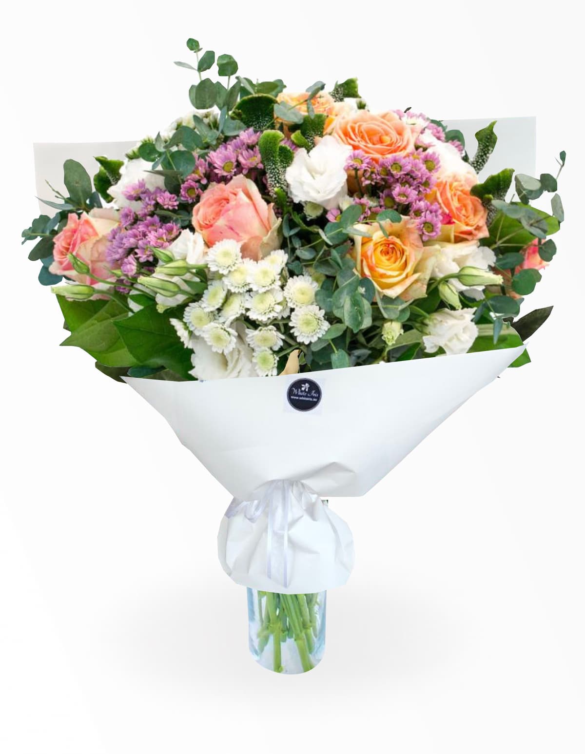 Image of Morning In Paris